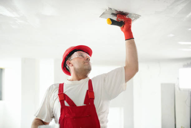 Best Fire-Damaged Drywall Repair  in Keshore, LA